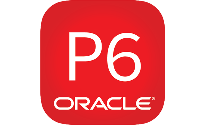 Primavera P6 Professional